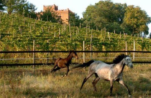 La Cascina Del Castello Villa Asti Kültér fotó